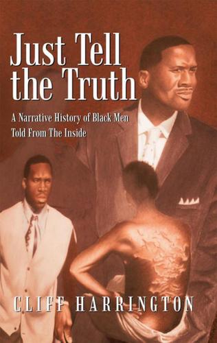 Cover image for Just Tell the Truth