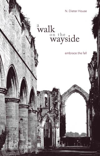 Cover image for A Walk on the Wayside: Embrace the Fall