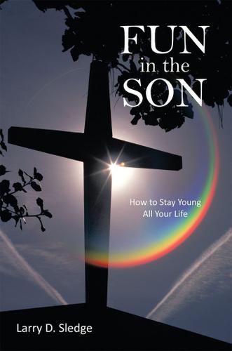 Cover image for Fun in the Son