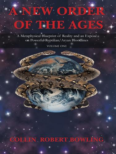 Cover image for A New Order of the Ages