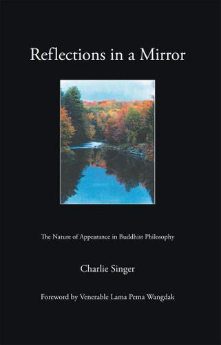 Cover image for Reflections in a Mirror