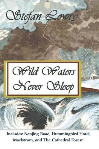 Cover image for Wild Waters Never Sleep