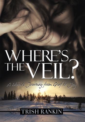 Cover image for WhereS the Veil?