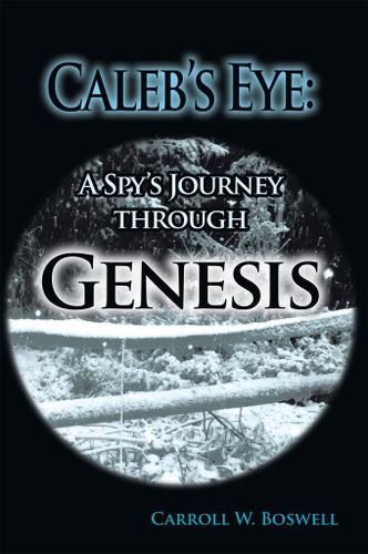 Cover image for Caleb's Eye: a Spy's Journey Through Genesis