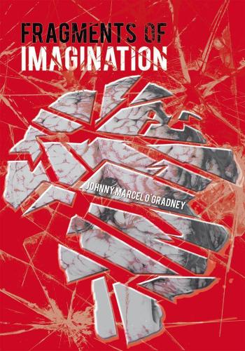 Cover image for Fragments of Imagination