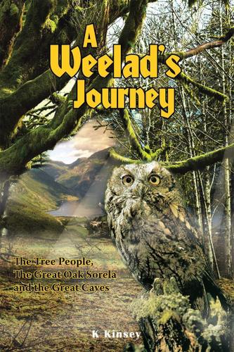 Cover image for A Weelad's Journey