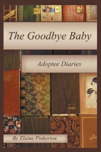 Cover image for The Goodbye Baby
