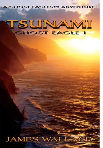 Cover image for Tsunami