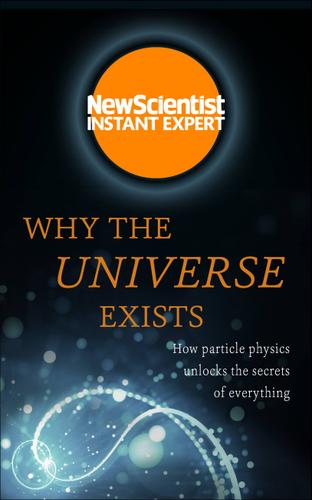 Cover image for Why the Universe Exists