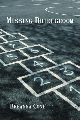 Cover image for Missing Bridegroom