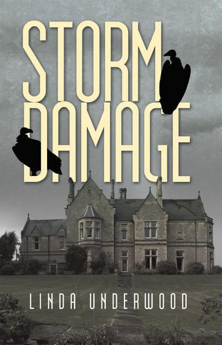Cover image for Storm Damage
