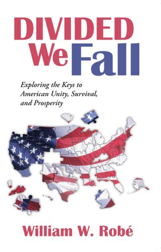 Cover image for Divided We Fall