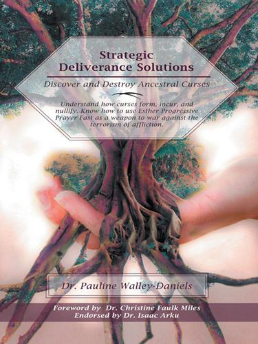 Cover image for Strategic Deliverance Solutions