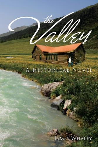Cover image for The Valley