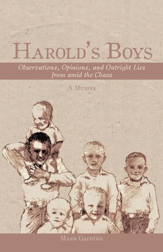 Cover image for HaroldS Boys