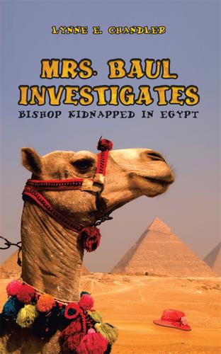 Cover image for Mrs. Baul Investigates