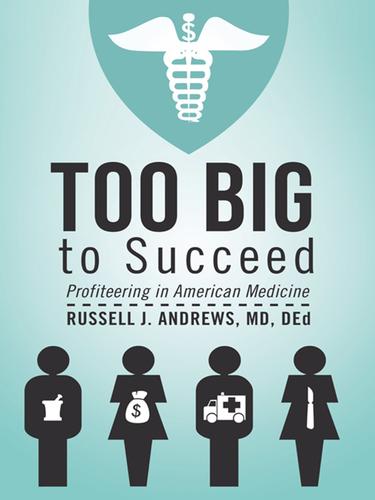 Cover image for Too Big to Succeed