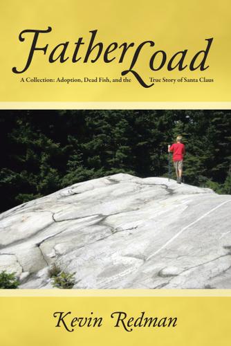 Cover image for Fatherload