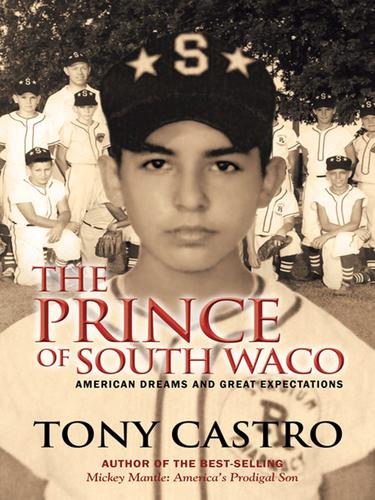 Cover image for The Prince of South Waco