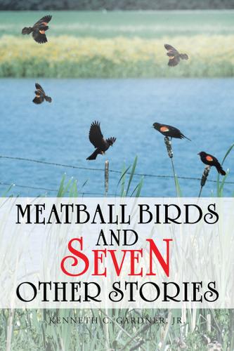 Cover image for Meatball Birds and Seven Other Stories