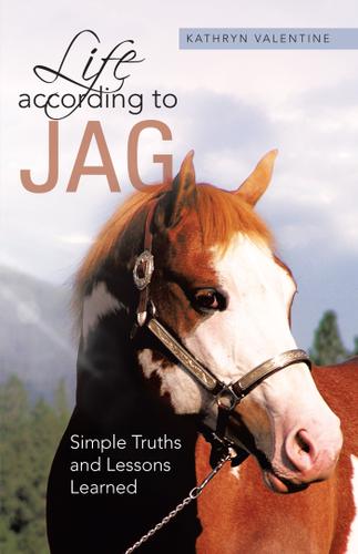 Cover image for Life According to Jag