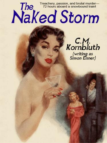 Cover image for The Naked Storm
