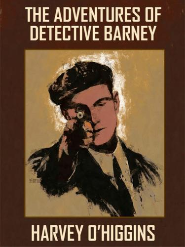 Cover image for The Adventures of Detective Barney