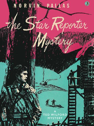 Cover image for The Star Reporter Mystery