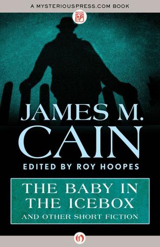Cover image for The Baby in the Icebox