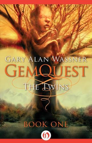 Cover image for The Twins