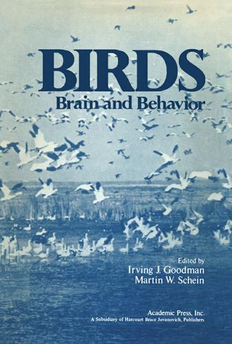 Cover image for Birds