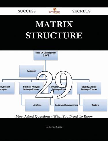 Cover image for Matrix Structure 29 Success Secrets - 29 Most Asked Questions On Matrix Structure - What You Need To Know