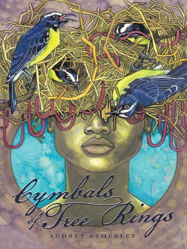 Cover image for Cymbals of Tree Rings