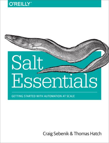 Cover image for Salt Essentials