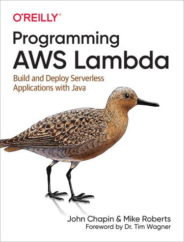 Cover image for Programming AWS Lambda