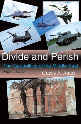 Cover image for Divide and Perish