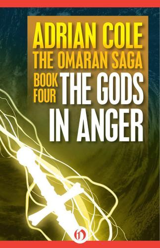 Cover image for The Gods in Anger