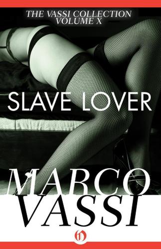 Cover image for Slave Lover