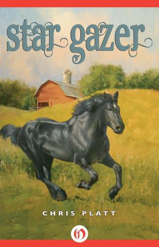 Cover image for Star Gazer