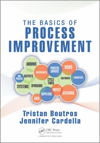 Cover image for The Basics of Process Improvement
