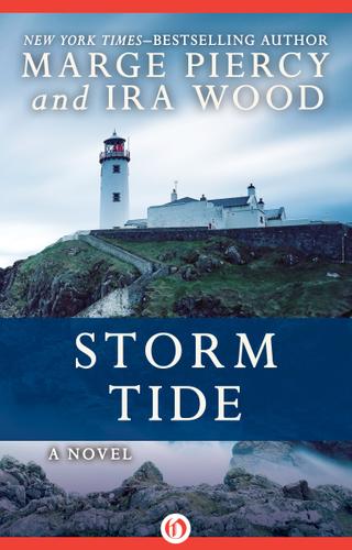 Cover image for Storm Tide
