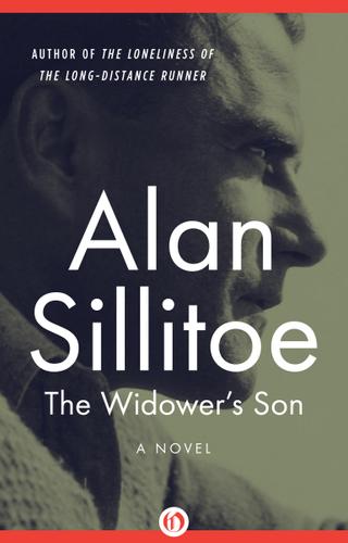 Cover image for The Widower's Son