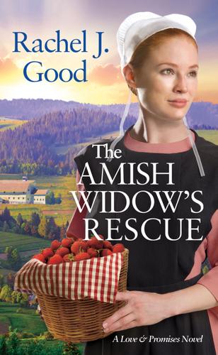 Cover image for The Amish Widow's Rescue