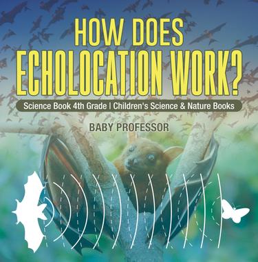 Cover image for How Does Echolocation Work? Science Book 4th Grade | Children's Science & Nature Books