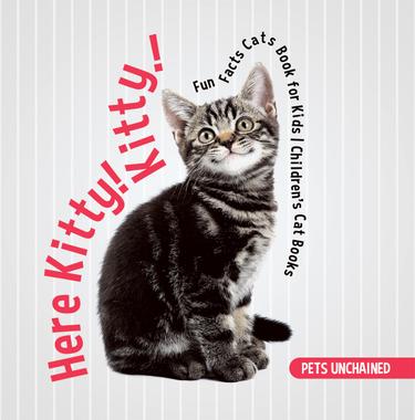 Cover image for Here Kitty! Kitty! | Fun Facts Cats Book for Kids | Children's Cat Books