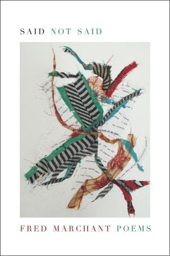 Cover image for Said Not Said