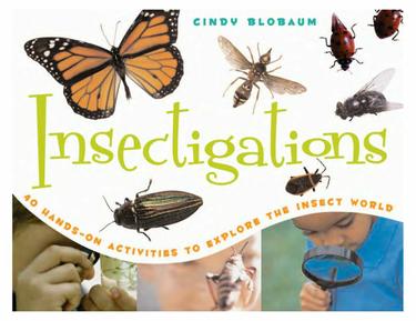 Cover image for Insectigations