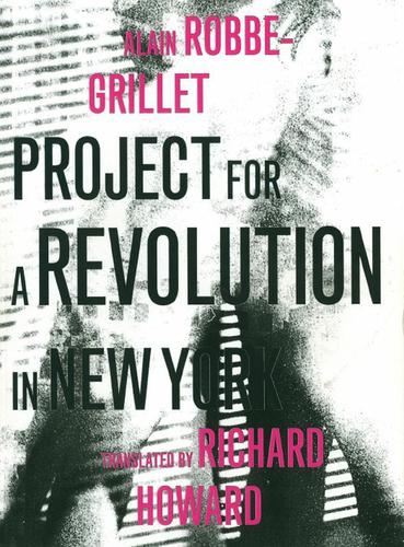 Cover image for Project for a Revolution in New York
