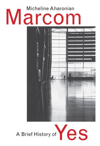 Cover image for A Brief History of Yes