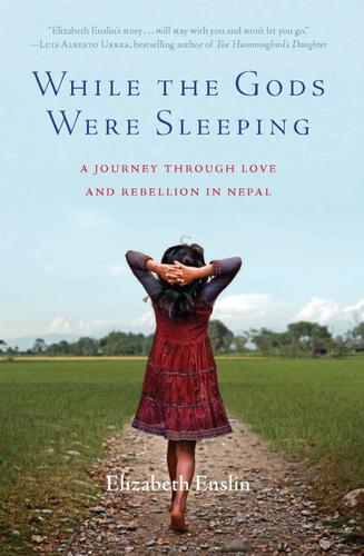 Cover image for While the Gods Were Sleeping